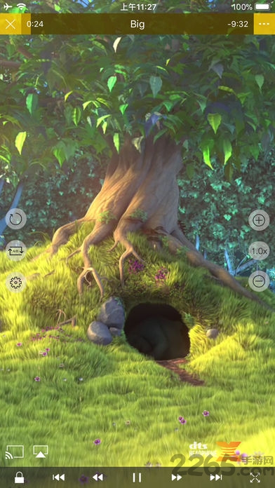 nplayer手机版下载