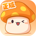 冒险岛:枫之传说 冒险岛:枫之传说