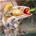钓鱼大师去广告版 Fishing Master 钓鱼大师去广告版 Fishing Master