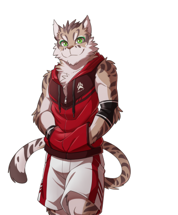 家有大猫6