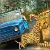 野生生存狩猎 野生生存狩猎